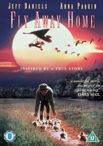 Fly Away Home [DVD] by Jeff Daniels: Amazon.co.uk: DVD & Blu-ray